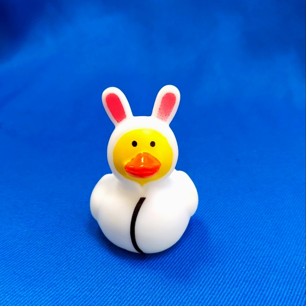 #1 Duck For Duck Duck Plushie Game